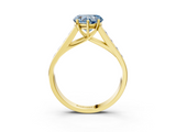 Yellow gold Fancy Blue Heart  Brilliant Channel-Set Solitaire Ring with Four-Prong Setting_23