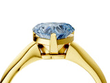 Yellow gold Fancy Blue Heart Cut Diamond Solitaire Engagement Ring with Classic Band and Four-Prong Setting_28