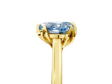Yellow gold Fancy Blue Heart Cut Diamond Solitaire Ring with Flower Prong Setting and Classic Band_41