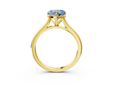 Yellow gold Fancy Blue Heart  Cut Solitaire Ring with Cathedral Band and Four-Prong Setting_47