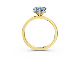 Yellow gold Fancy Blue Heart  Solitaire Engagement Ring with Cathedral Band and Four-Prong Setting_24
