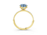 Yellow gold Fancy Blue Round  Diamond Pavé Band with Six-Prong Setting_34