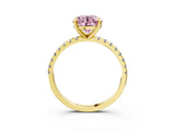 Yellow gold Fancy Pink Round Cut Diamond Brilliant Solitaire Ring with Pavé Band and Four-Prong Setting_3