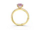 Yellow gold Fancy Pink Round  Cut Diamond Pavé Band Ring with Four-Prong Setting_3