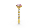 Yellow gold Fancy Pink Round  Solitaire Pavé Band with Four-Prong Setting_2