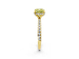 Yellow gold Fancy Yellow Cushion Cut Diamond Solitaire Ring with Four-Prong Setting and Pavé Band_5