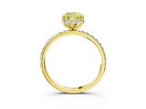 Yellow gold Fancy Yellow Cushion Cut Diamond Solitaire Ring with Pavé Band and Hidden Halo_18