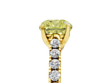 Yellow gold Fancy Yellow Cushion  Cut Pavé Band Solitaire Ring with Four-Prong Setting_27