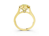 Yellow gold Fancy Yellow Cushion  Diamond Halo Ring with Milgrain Frame and Pavé Band_63