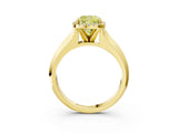 Yellow gold Fancy Yellow Cushion  Halo Diamond Ring with Cathedral Band and Four-Prong Setting_52