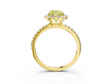 Yellow gold Fancy Yellow Cushion  Halo Round Diamond Pavé Band Four-Prong Ring_6