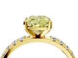 Yellow gold Fancy Yellow Cushion  Solitaire Pavé Band with Four-Prong Setting_159