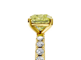 Yellow gold Fancy Yellow Cushion  Solitaire Pavé Band with Four-Prong Setting_160