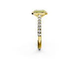 Yellow gold Fancy Yellow Emerald  Cut Halo Diamond Engagement Ring with Pave Band and Four-Prong Setting_30