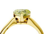 Yellow gold Fancy Yellow Heart Cut Diamond Solitaire Engagement Ring with Classic Band and Four-Prong Setting_28