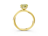 Yellow gold Fancy Yellow Heart  Cut Solitaire Ring with Thin Band and Four-Prong Setting_19