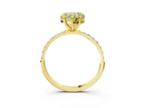 Yellow gold Fancy Yellow Heart  Diamond Pavé Band with Six-Prong Setting_53
