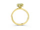 Yellow gold Fancy Yellow Heart  Solitaire Engagement Ring with Cathedral Band and Four-Prong Setting_24