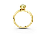 Yellow gold Fancy Yellow Marquise  Cut Solitaire Engagement Ring with Flat Band and Four-Prong Setting 4