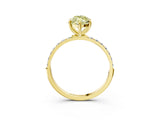 Yellow gold Fancy Yellow Marquise  Diamond Pavé Band with Six-Prong Setting_22