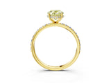 Yellow gold Fancy Yellow Oval Cut Diamond Solitaire Ring with Pavé Band and Hidden Halo_21