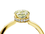 Yellow gold Fancy Yellow Oval  Cut Solitaire Engagement Ring with Four-Prong Setting on a Classic Band_24