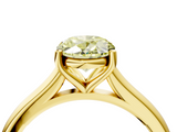 Yellow gold Fancy Yellow Oval  Cut Solitaire Ring with Cathedral Band and Four-Prong Setting_64