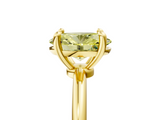 Yellow gold Fancy Yellow Oval  Solitaire Diamond Ring with 4-Prong Setting on a Classic Band_8