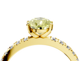 Yellow gold Fancy Yellow Pear  Diamond Pavé Band Solitaire with Four-Prong Setting_205