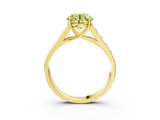Yellow gold Fancy Yellow Round  Brilliant Channel-Set Solitaire Ring with Four-Prong Setting_25