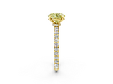 Yellow gold Fancy Yellow Round  Brilliant Pavé Band Solitaire with Four-Prong Setting_19