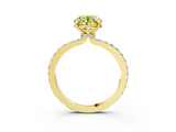 Yellow gold Fancy Yellow Round  Brilliant Pavé Band Solitaire with Four-Prong Setting_20