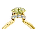 Yellow gold Fancy Yellow Round  Brilliant Solitaire Engagement Ring with Six-Prong Setting and Classic Band_4