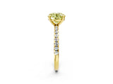 Yellow gold Fancy Yellow Round Cut Diamond Brilliant Solitaire Ring with Pavé Band and Four-Prong Setting_14