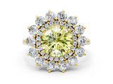 Yellow gold Fancy Yellow Round Cut Diamond Floral Double Halo Engagement Ring with Prong Setting_24