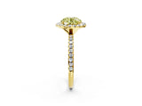 Yellow gold Fancy Yellow Round  Cut Diamond Floral Halo Engagement Ring with Pavé Band and Prong Setting_19