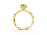 Yellow gold Fancy Yellow Round  Cut Diamond Pavé Band Ring with Four-Prong Setting_3