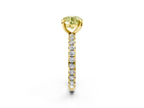 Yellow gold Fancy Yellow Round  Cut Diamond Pavé Band with Four-Prong Setting_2