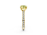 Yellow gold Fancy Yellow Round Cut Diamond Pavé Solitaire Ring with Round Band and Prong Setting_14