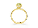 Yellow gold Fancy Yellow Round Cut Diamond Pavé Solitaire Ring with Round Band and Prong Setting_27