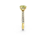 Yellow gold Fancy Yellow Round Cut Diamond Pave Band Solitaire Ring with Four-Prong Setting_20