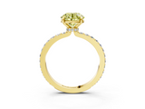 Yellow gold Fancy Yellow Round  Cut Diamond Ring with Pavé Band and Four-Prong Setting_3