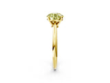 Yellow gold Fancy Yellow Round Cut Diamond Solitaire Engagement Ring with Classic Band and Four-Prong Setting_19