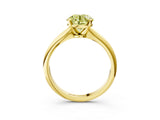 Yellow gold Fancy Yellow Round Cut Diamond Solitaire Engagement Ring with Classic Band and Four-Prong Setting_27