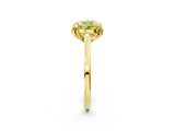Yellow gold Fancy Yellow Round Cut Diamond Solitaire Ring with Flower Prong Setting and Classic Band_14