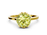 Yellow gold Fancy Yellow Round Cut Diamond Solitaire Ring with Flower Prong Setting and Classic Band_36