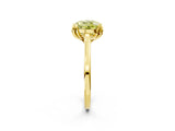 Yellow gold Fancy Yellow Round Cut Diamond Solitaire Ring with Flower Prong Setting and Classic Band_38