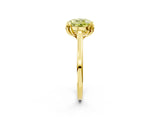 Yellow gold Fancy Yellow Round Cut Diamond Solitaire Ring with Flower Prong Setting and Classic Band_48