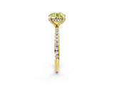 Yellow gold Fancy Yellow Round Cut Diamond Solitaire Ring with Four-Prong Setting and Pavé Band_5