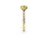 Yellow gold Fancy Yellow Round Cut Diamond Solitaire Ring with Pavé Band and Four-Prong Setting_18